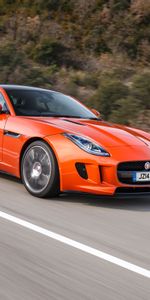 F Type,Движение,Вид Сбоку,Ягуар (Jaguar),Тачки (Cars)