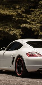 Cars,Porsche Cayman S,Machine,Side View,Car,Sports Car,Sports,Porsche