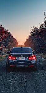 Vista Trasera,F80,335I,Coches,Bmw