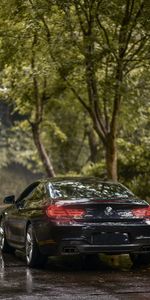 Cars,Rear View,Coupe,Bmw 650I M Sport,Sapphire,Machine,Back View,Compartment,Dark Blue,Sports,Car,Bmw