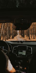 Vue,Voitures,Route,Forêt,Machine,Une Voiture,Salon