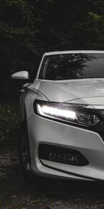 Cars,Shine,Light,Front View,Machine,Headlight,Car,Wet