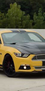 Cars,Side View,Gt,Shelby,Ford Mustang