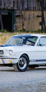 Cars,Side View,Gt350,Shelby,Ford,Mustang