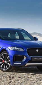 Ягуар (Jaguar),Тачки (Cars),Вид Сбоку,Внедорожник