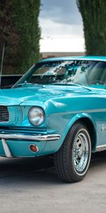 Cars,Side View,Mustang,Ford