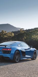 Perfil,R8,V10,Coches,Vista Lateral,Audi