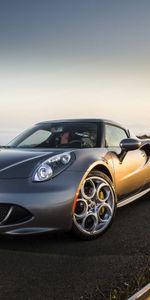 4C,Серебристый,Альфа Ромео (Alfa Romeo),Тачки (Cars),Вид Сбоку