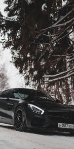 Cars,Snow,Forest,Machine,Sports Car,Car,Sports,Mercedes Benz