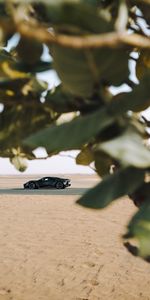 Voitures,Branches,Feuilles,Sable,Sportif,Voiture De Sport,Voiture