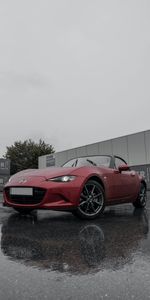 Mazda Mx 5,Красный,Тачки (Cars),Спорткар,Мокрый,Автомобиль,Мазда (Mazda)