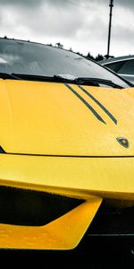 Cars,Street,Rain,Lamborghini