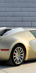 Veyron,Бугатти (Bugatti),Стиль,Тачки (Cars),Машины