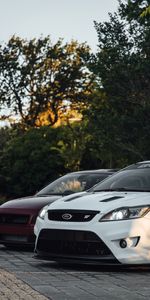 Cars,Trees,Parking