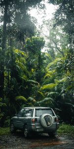 Cars,Tropics,Toyota Rav4,Toyota,Suv,Jungle