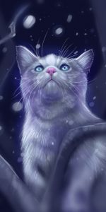 Cat,Opinion,Sight,Glare,Snow,Art