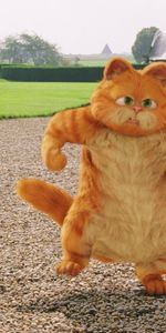 Garfield,Chats,Humour,Dessin Animé