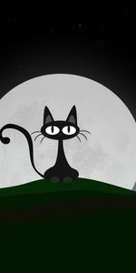 Cats,Pictures,Moon