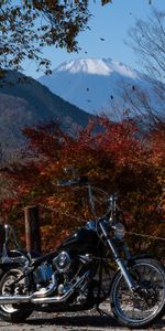 Chopper,Nature,Motorcycle,Motorcycles,Autumn,Bike