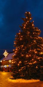 Christmas Tree,Garland,Garlands,Holidays,Night,Street