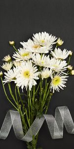 Chrysanthemum,Bouquet,Tape,Flowers