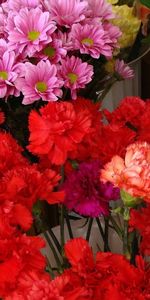 Oeillets,Alstroemeria,Compteur,Fleurs,Chrysanthème