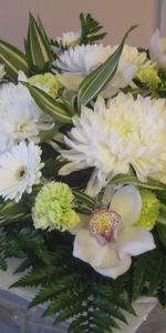 Chrysanthemum,Registration,Typography,Greens,Bouquet,Flowers