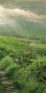 Le Seigneur Des Anneaux,Cinéma,Acteurs,Personnes,Hommes