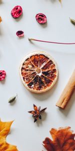 Cinnamon,Miscellanea,Lemon,Lobule,Clove,Miscellaneous,Citrus,Autumn