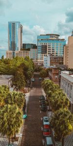 Cities,Auto,Building,Road,Palms,City