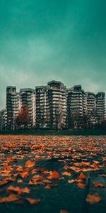 Cities,Autumn,Leaves,City,Building