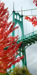 Cities,Bridge,Portland,Bright,Oregon,Trees,Autumn