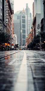 Cities,Building,Road,City,Street