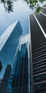 Cities,Building,Skyscrapers,Bottom View,Branch