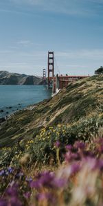 Cities,Coast,Hills,Bridge,Water,San Francisco