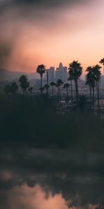 Ville,Aperçu,Vue,Révision,Crépuscule,Villes,Palms,Sombre