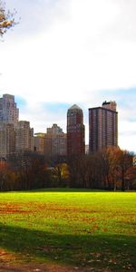 New York,Soir,Parc,Villes,Le Parc,Feuillage,Maisons