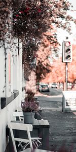 Cities,Flowers,Building,Furniture,Decoration,Street