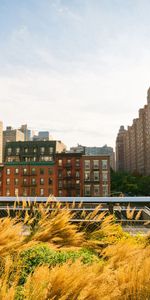 Ciudades,Hierba,Cielo,Edificio,Calle,Nueva York