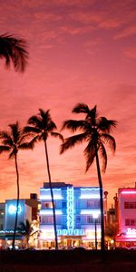 Cities,Landscape,Palms