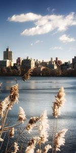 Ciudades,Ríos,Paisaje