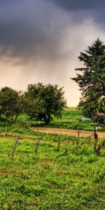 Nature,Herbe,Imeuble,Bâtiment,Arbres,Hdr,Villes,Village