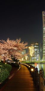 Villes,Nuit,Paysage