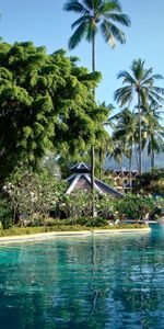 Villes,Parc,Phuket,Le Parc,Mare,Piscine,Palms,Thaïlande