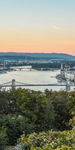 Cities,Rivers,Trees,Building,Bridge,City