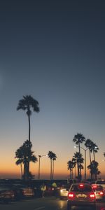 Cities,Roads,Landscape,Night,Palms