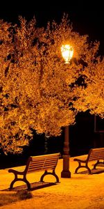 Cities,Shine,Light,Evening,City,Park,Bench,Street,Benches