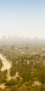 Cities,Trees,Building,Fog,City,Road