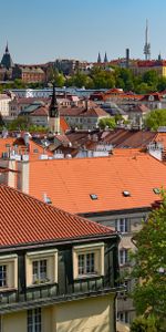 Cities,Trees,Building,Roof,Roofs,City