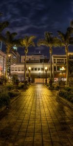 Cities,Trees,United States,Sidewalk,Night,Usa,California,San Diego,Palms,Hdr